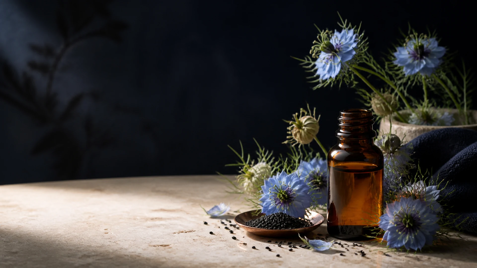 Fleurs bleu pâle, capsules et graines de Nigella sativa
